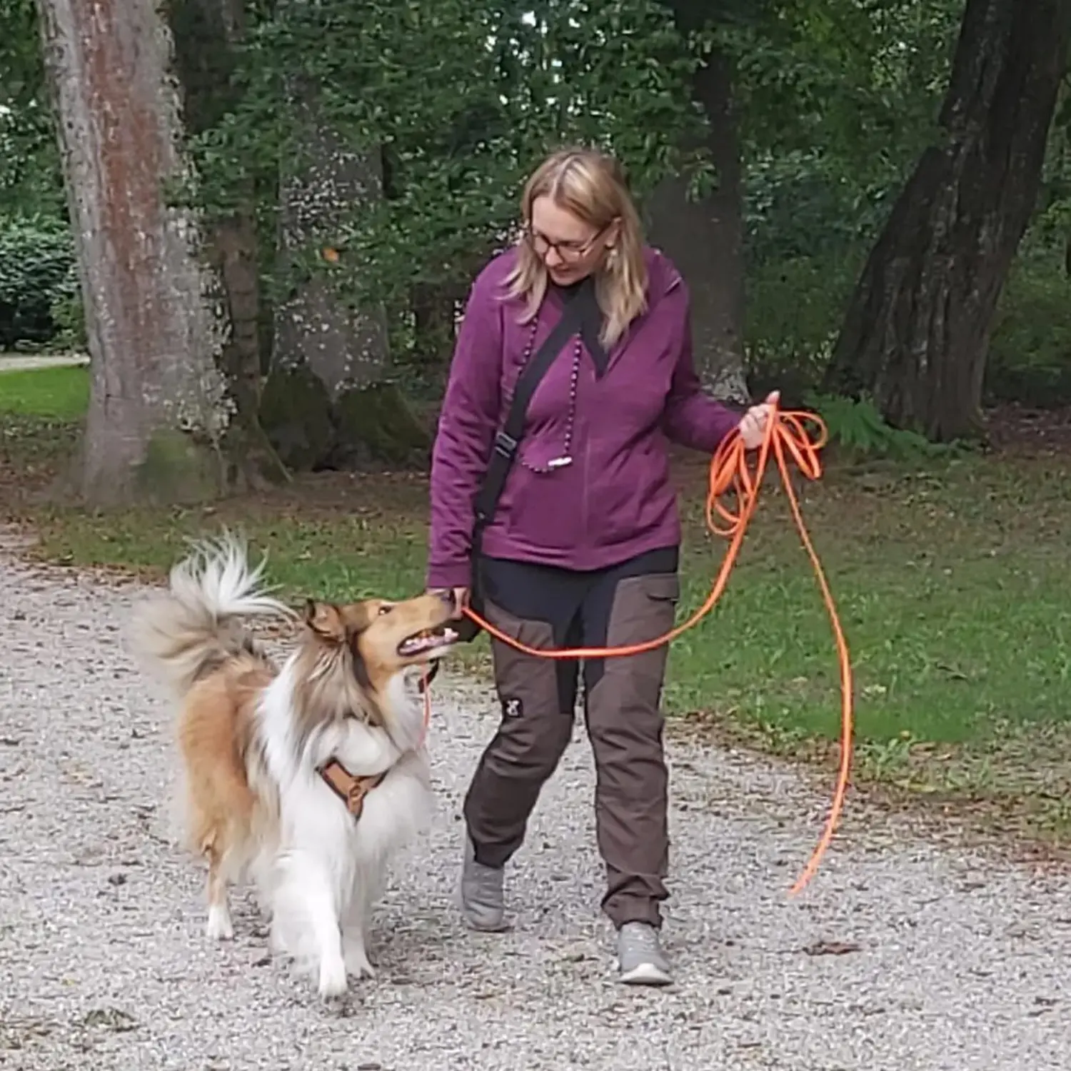 Dogtrain- eine Person, die mit dem Hund spazieren geht